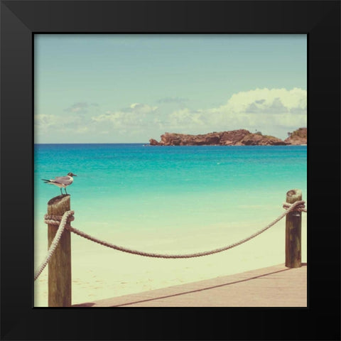 On Deck II Black Modern Wood Framed Art Print by Bryant, Susan