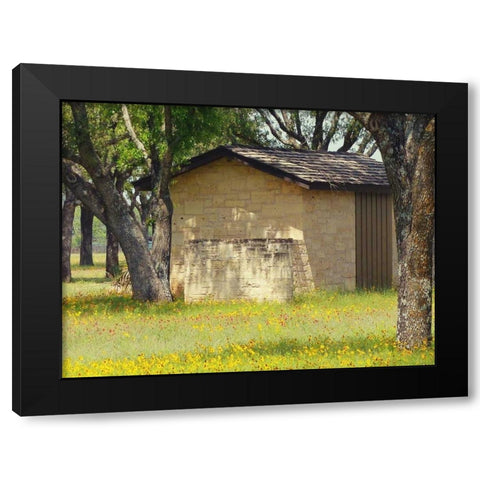 Country Meadow I Black Modern Wood Framed Art Print with Double Matting by Peck, Gail