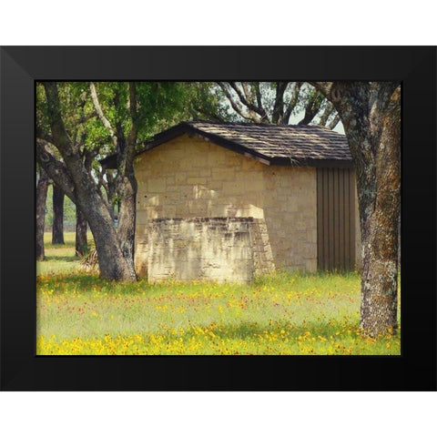 Country Meadow I Black Modern Wood Framed Art Print by Peck, Gail
