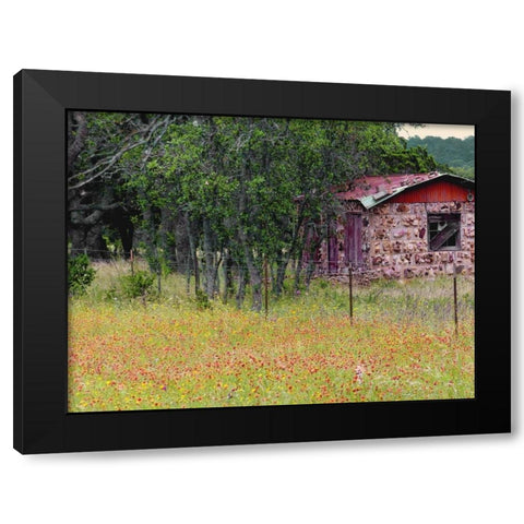Country Meadow II Black Modern Wood Framed Art Print with Double Matting by Peck, Gail