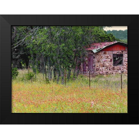 Country Meadow II Black Modern Wood Framed Art Print by Peck, Gail
