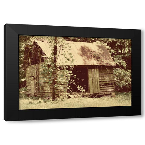 Homestead Black Modern Wood Framed Art Print by Peck, Gail