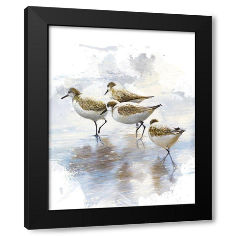 Sand Dancers I Black Modern Wood Framed Art Print with Double Matting by Nawrocke, Bruce