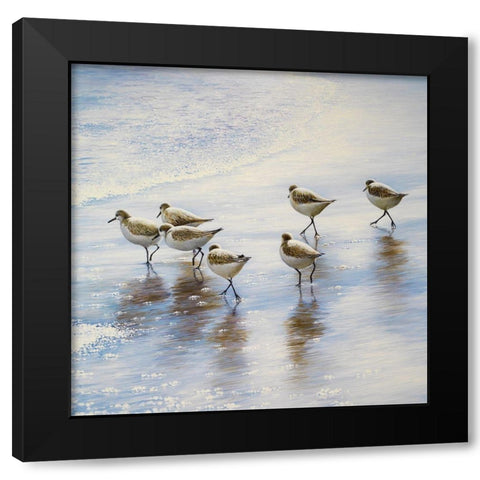 Sand Dancers Square Black Modern Wood Framed Art Print by Nawrocke, Bruce