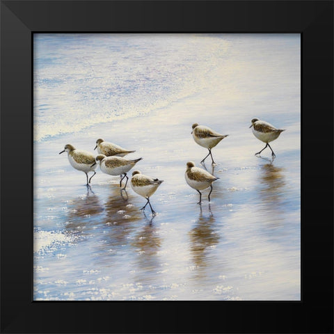 Sand Dancers Square Black Modern Wood Framed Art Print by Nawrocke, Bruce