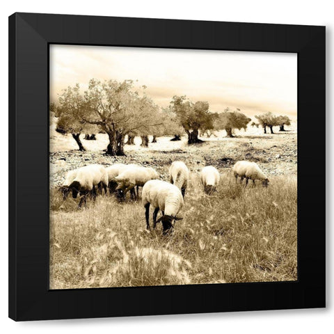 Out In The Fields Black Modern Wood Framed Art Print by Mabat, Ynon