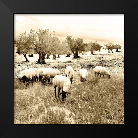 Out In The Fields Black Modern Wood Framed Art Print by Mabat, Ynon
