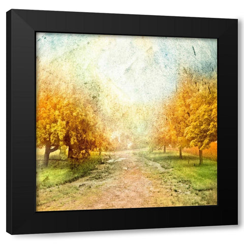 Oak Path Black Modern Wood Framed Art Print by Mabat, Ynon
