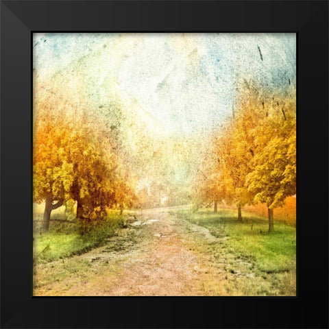 Oak Path Black Modern Wood Framed Art Print by Mabat, Ynon