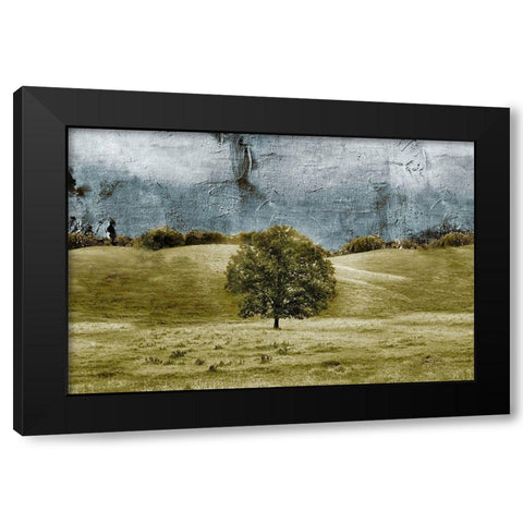 Tree in the Valley Black Modern Wood Framed Art Print with Double Matting by Mabat, Ynon