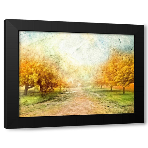 Oak Path Black Modern Wood Framed Art Print by Mabat, Ynon
