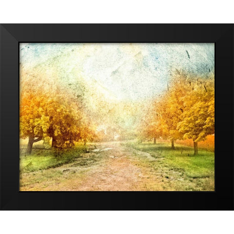 Oak Path Black Modern Wood Framed Art Print by Mabat, Ynon