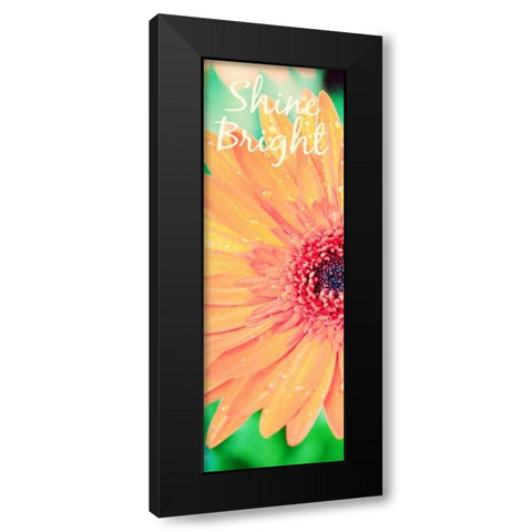 Shine Bright Daisy Black Modern Wood Framed Art Print by Bryant, Susan