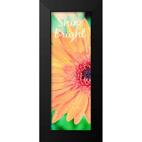 Shine Bright Daisy Black Modern Wood Framed Art Print by Bryant, Susan