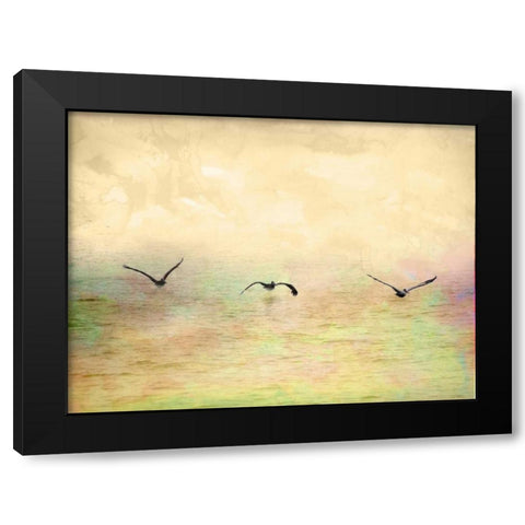 Seagulls in the Sky I Black Modern Wood Framed Art Print with Double Matting by Mabat, Ynon