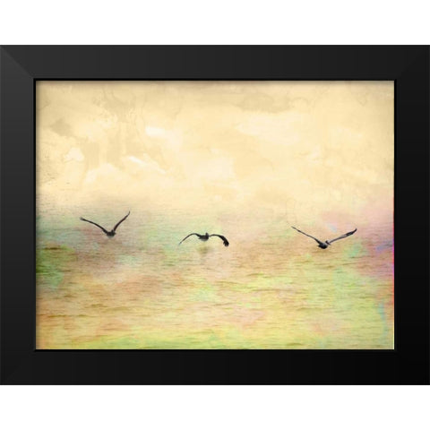 Seagulls in the Sky I Black Modern Wood Framed Art Print by Mabat, Ynon