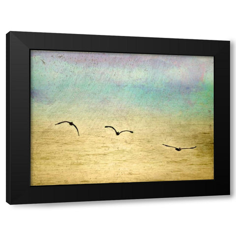 Seagulls in the Sky II Black Modern Wood Framed Art Print by Mabat, Ynon