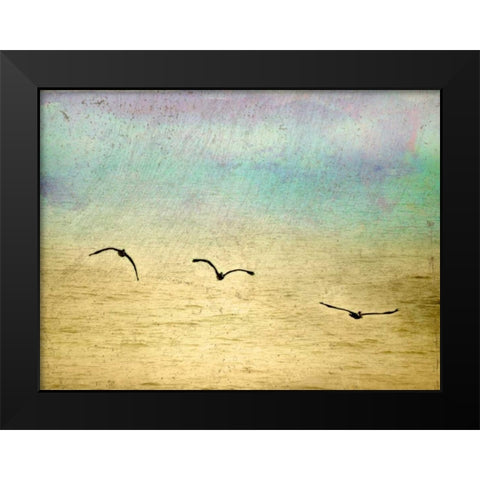 Seagulls in the Sky II Black Modern Wood Framed Art Print by Mabat, Ynon