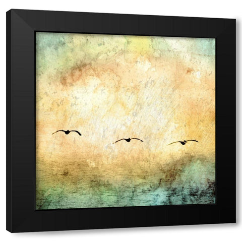 Seagulls in the Sky Square III Black Modern Wood Framed Art Print with Double Matting by Mabat, Ynon