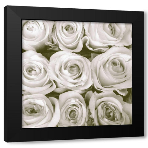Rose In Bloom Square Black Modern Wood Framed Art Print by Peck, Gail