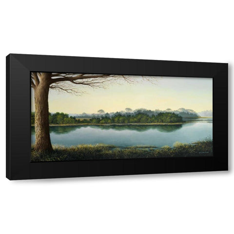 Peaceful Afternoon Black Modern Wood Framed Art Print by Nawrocke, Bruce