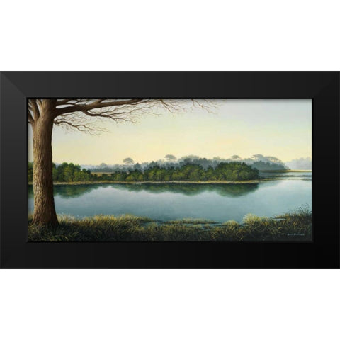 Peaceful Afternoon Black Modern Wood Framed Art Print by Nawrocke, Bruce