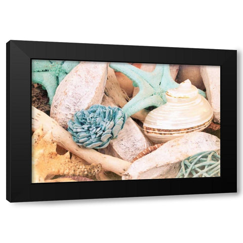 Bundle of Shells II Black Modern Wood Framed Art Print by Bryant, Susan