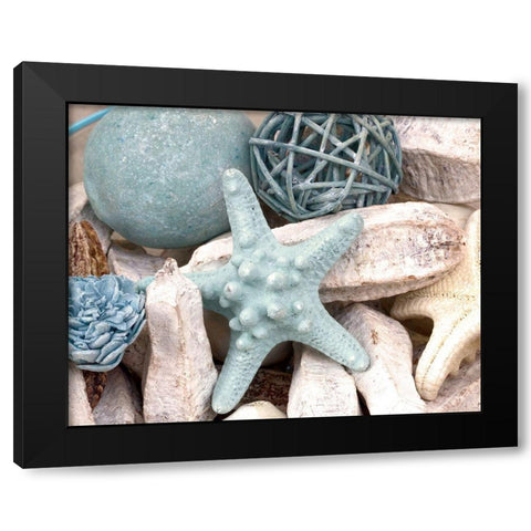 Bundle of Shells I Black Modern Wood Framed Art Print with Double Matting by Susan Bryant