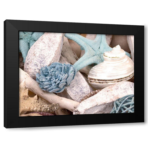 Bundle of Shells II Black Modern Wood Framed Art Print with Double Matting by Bryant, Susan