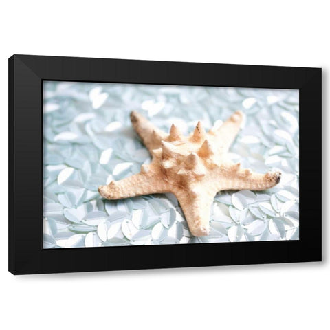 Shimmer Shells II Black Modern Wood Framed Art Print by Bryant, Susan