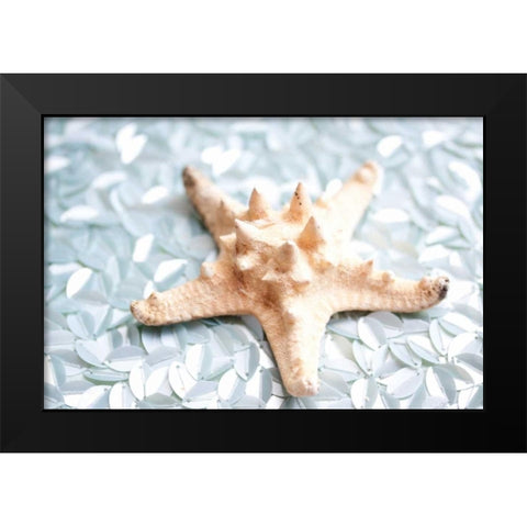 Shimmer Shells II Black Modern Wood Framed Art Print by Bryant, Susan