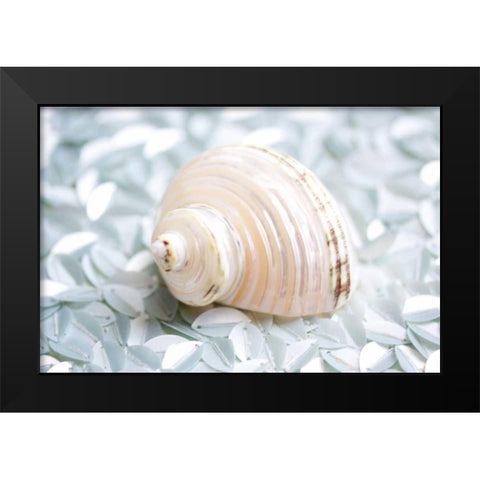 Shimmer Shells IV Black Modern Wood Framed Art Print by Bryant, Susan