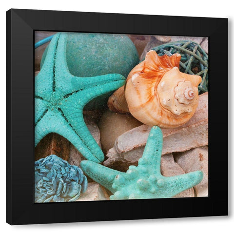 Bundle of Shells Square I Black Modern Wood Framed Art Print with Double Matting by Bryant, Susan