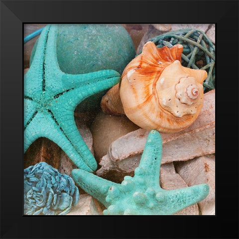 Bundle of Shells Square I Black Modern Wood Framed Art Print by Bryant, Susan