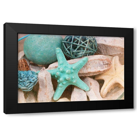 Bundle of Shells I Black Modern Wood Framed Art Print by Bryant, Susan