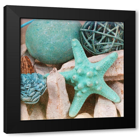 Bundle of Shells Square II Black Modern Wood Framed Art Print by Bryant, Susan