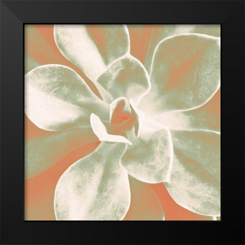 Tropical Succulent Black Modern Wood Framed Art Print by Bryant, Susan