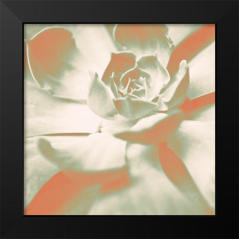 Terracotta Succulent Black Modern Wood Framed Art Print by Bryant, Susan