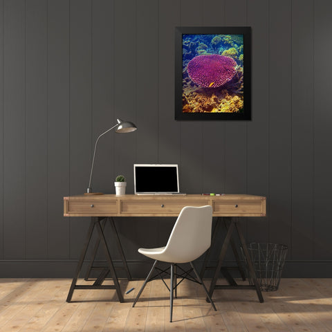Barrier Reef Coral II Black Modern Wood Framed Art Print by Mansfield, Kathy