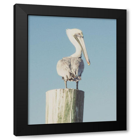 Pelican Post Muted I Black Modern Wood Framed Art Print with Double Matting by Mansfield, Kathy