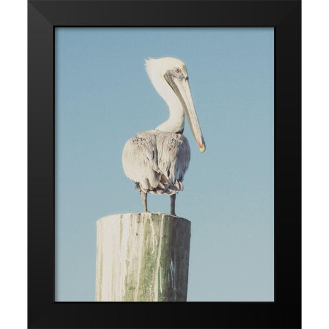 Pelican Post Muted I Black Modern Wood Framed Art Print by Mansfield, Kathy