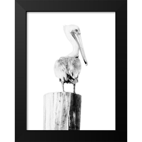 BW Pelican Black Modern Wood Framed Art Print by Mansfield, Kathy