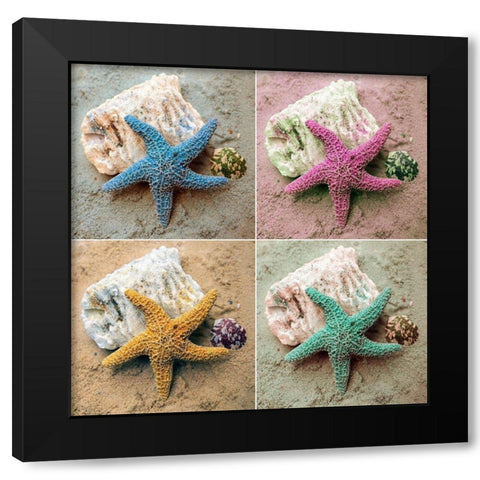 Colorful Starfish Black Modern Wood Framed Art Print with Double Matting by Mansfield, Kathy
