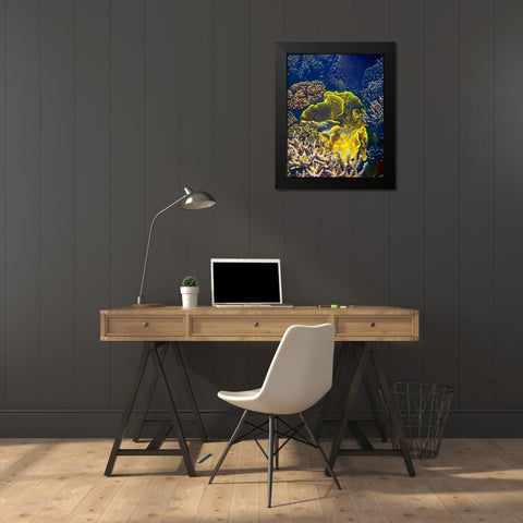 Barrier Reef Coral III Black Modern Wood Framed Art Print by Mansfield, Kathy