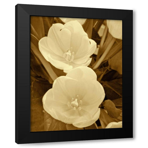 Sepia Blooms I Black Modern Wood Framed Art Print by Rodriguez, Jairo