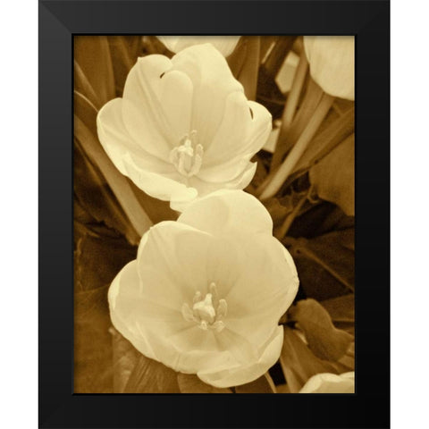 Sepia Blooms I Black Modern Wood Framed Art Print by Rodriguez, Jairo