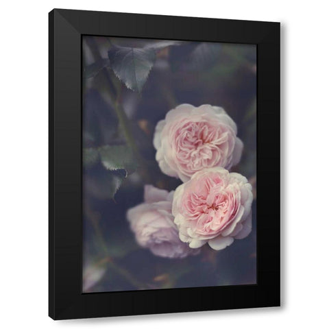 Hiding Blooms Black Modern Wood Framed Art Print with Double Matting by Gardner, Sarah