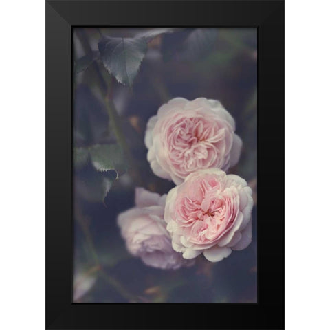 Hiding Blooms Black Modern Wood Framed Art Print by Gardner, Sarah