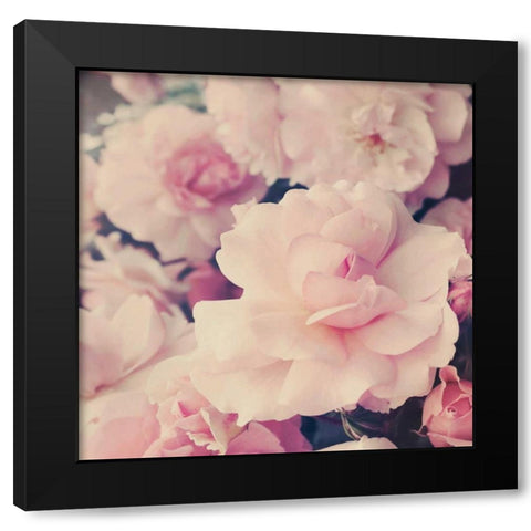 Pink Blossoms I Black Modern Wood Framed Art Print with Double Matting by Gardner, Sarah