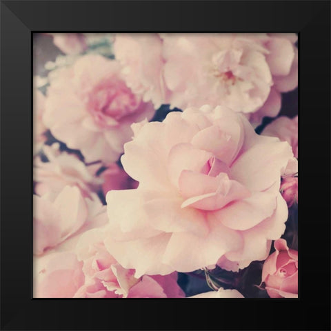 Pink Blossoms I Black Modern Wood Framed Art Print by Gardner, Sarah